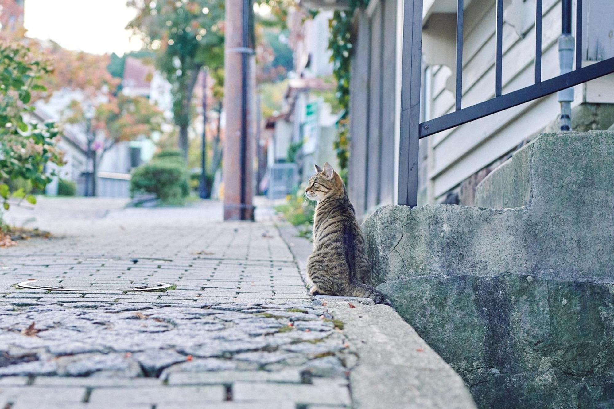 Small Town Hotel 函館市 エクステリア 写真